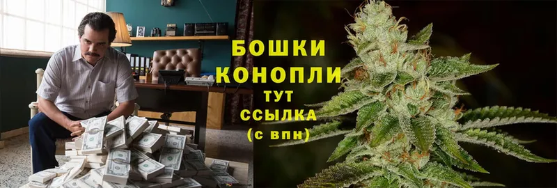 Бошки Шишки OG Kush  где можно купить   Новомосковск 